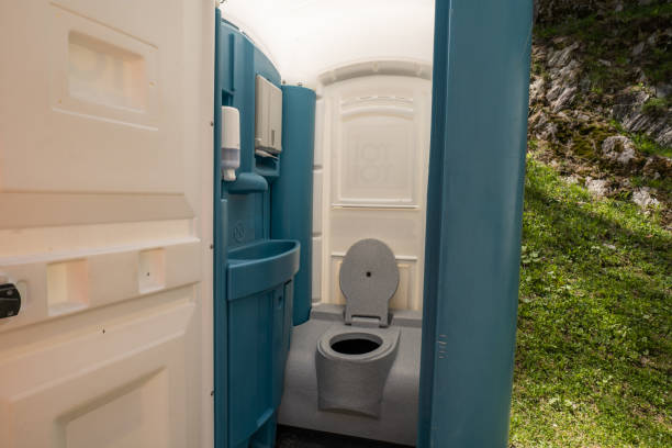 Best Wedding porta potty rental  in Pleasant Ridge, MI