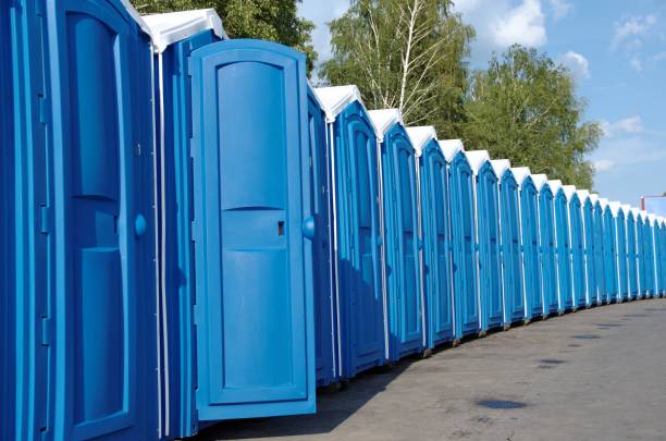 Best Sanitation services for porta potties  in Pleasant Ridge, MI